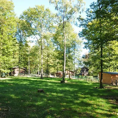 Holiday home Abri D'ane Oignies